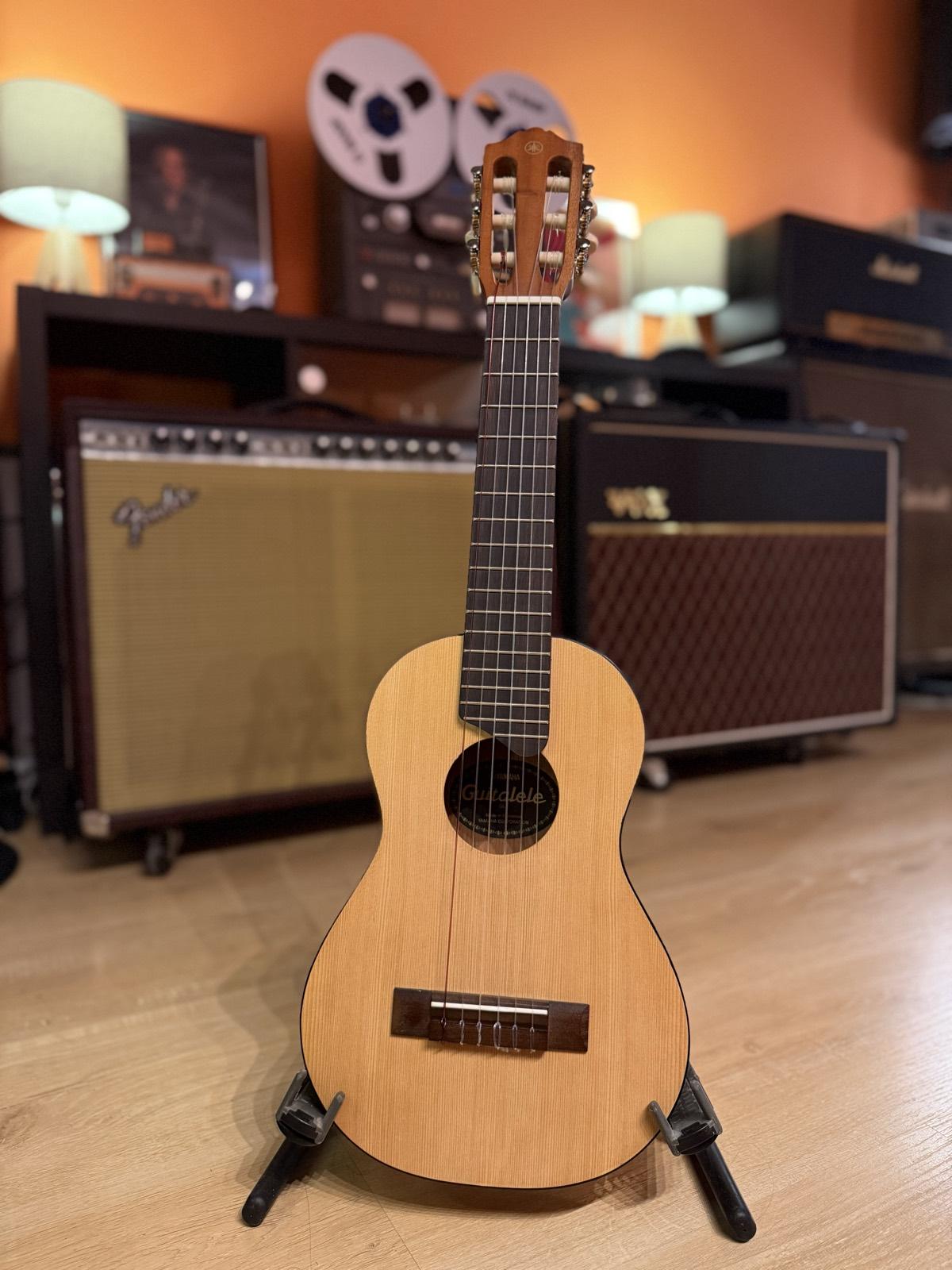 Instrumento acustico del estudio (6)