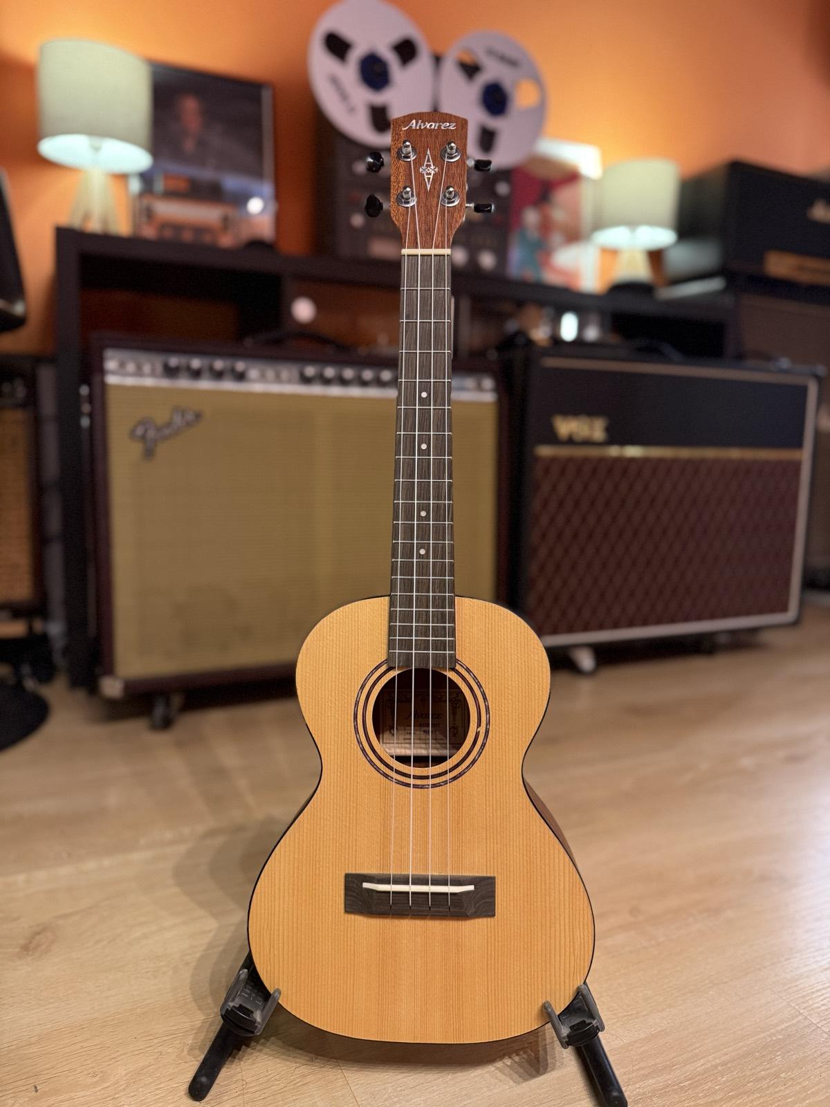 Instrumento acustico del estudio (5)